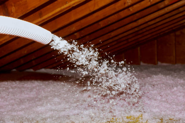 Best Home Insulation Services  in Bishopville, SC