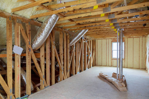 Insulation Repair Services in Bishopville, SC