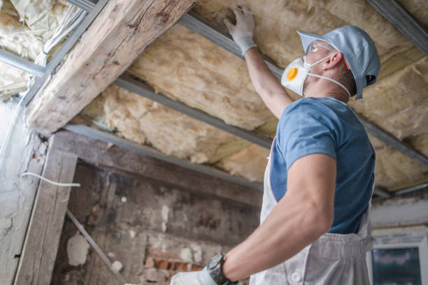 Best Insulation for New Construction  in Bishopville, SC