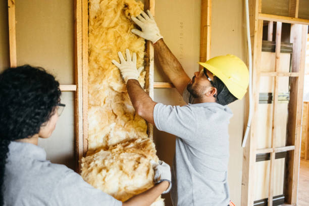 Best Local Insulation Services  in Bishopville, SC