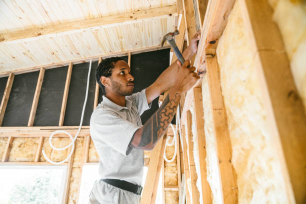 Insulation Repair Services in Bishopville, SC