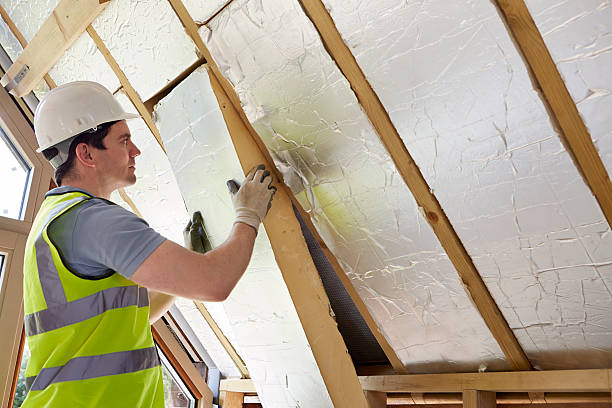 Best Insulation Repair Services  in Bishopville, SC
